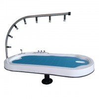 Full body table shower/ water bed massage table beauty spa equipment LK-211